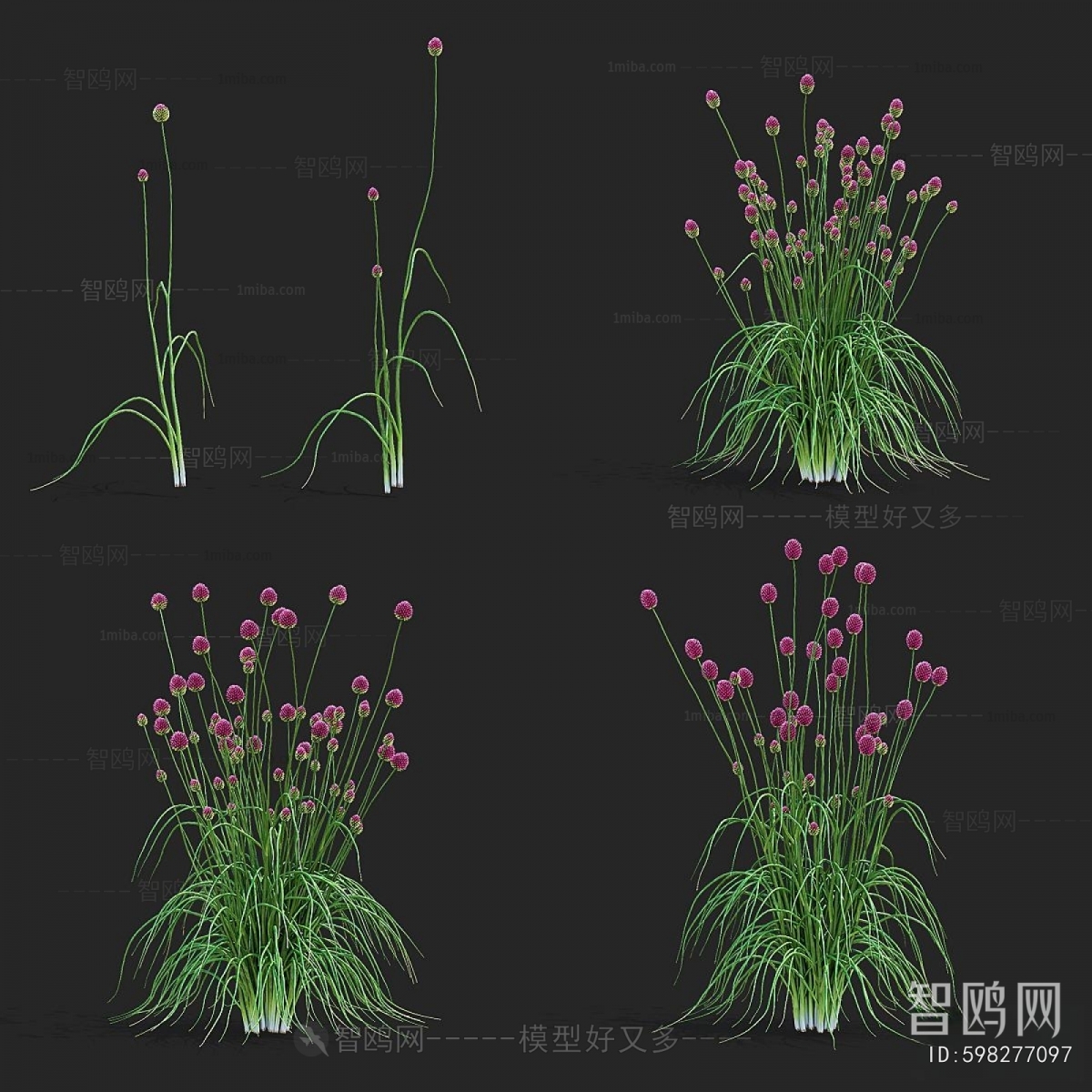 Modern Flowers And Grass