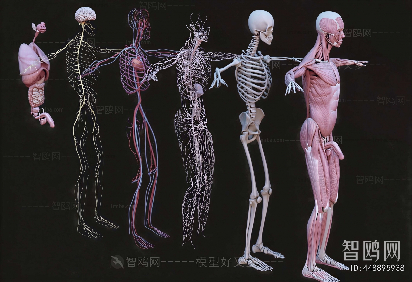 Modern Medical Equipment