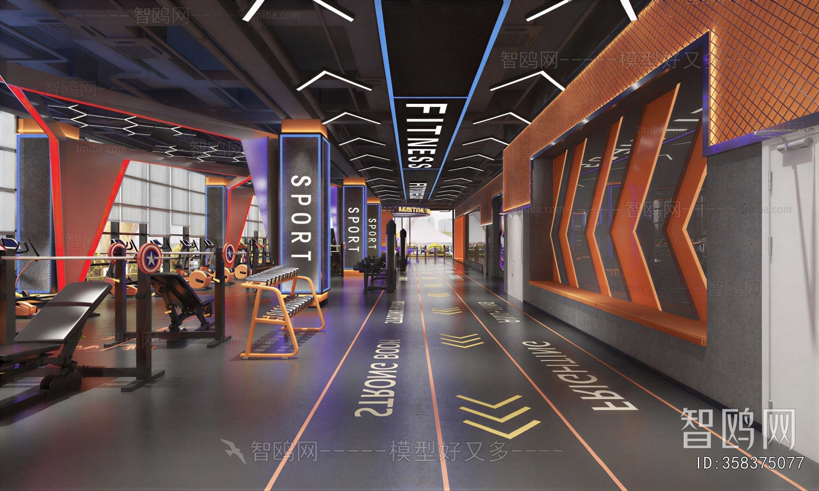 Modern Gym