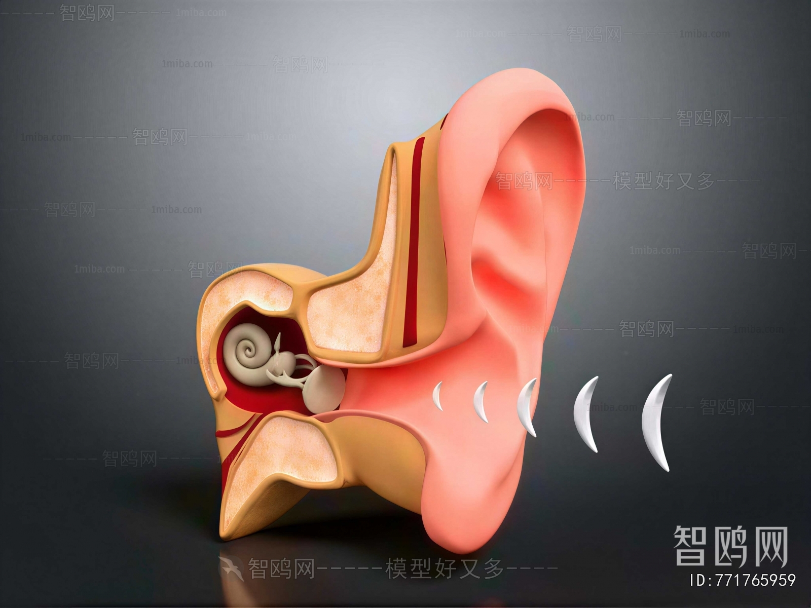 Modern Medical Equipment