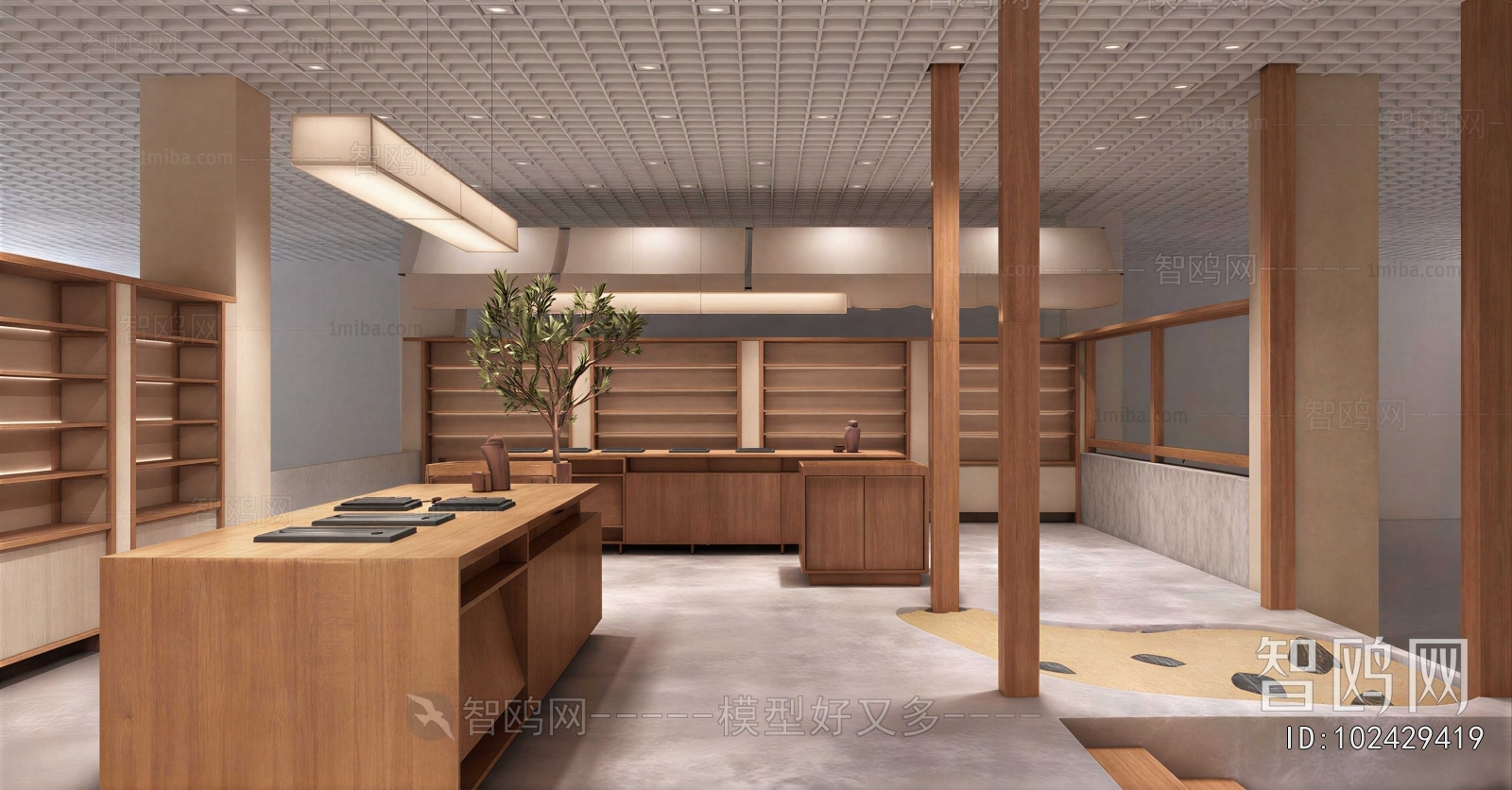 Modern Showcase