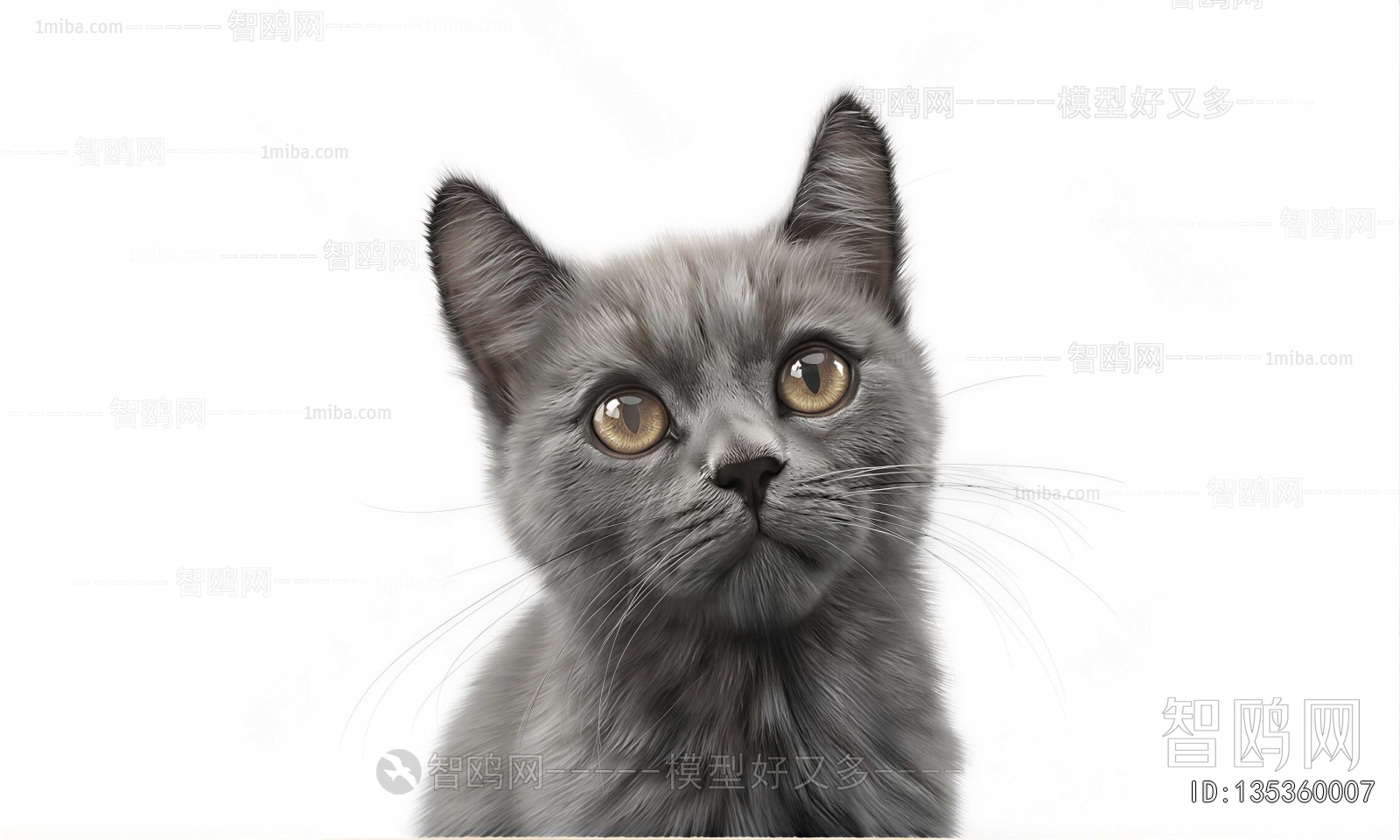 Modern Animal Cat