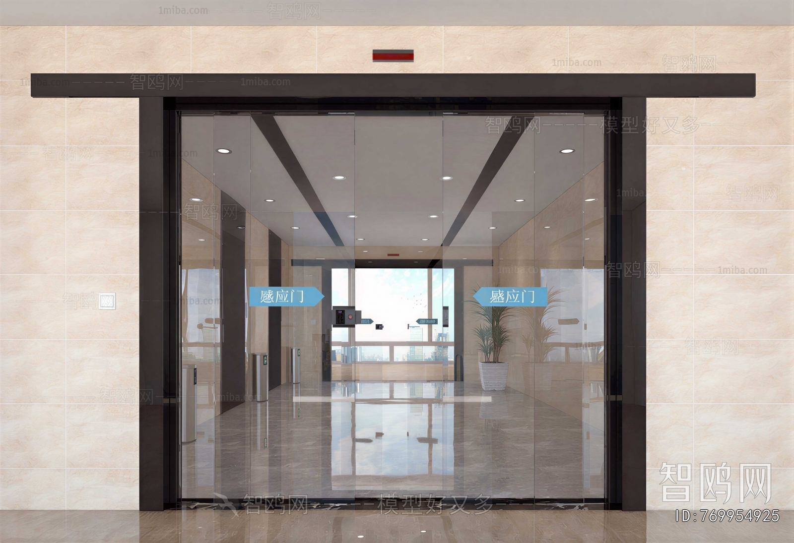 Modern Door