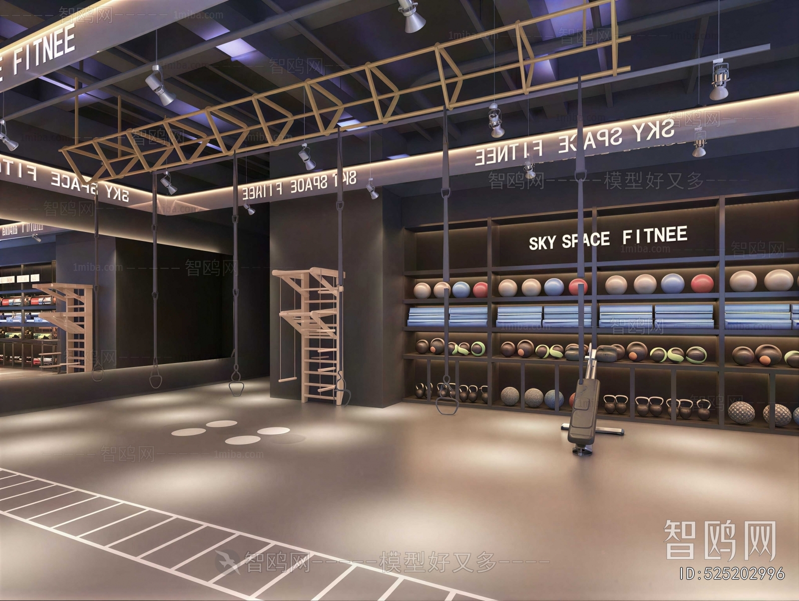 Modern Gym