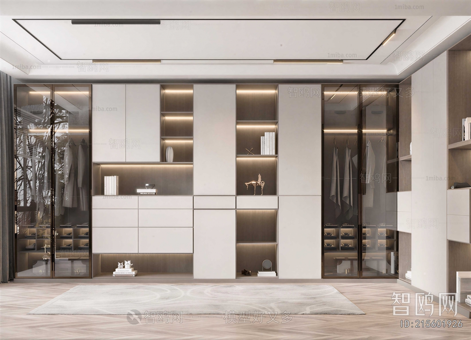 Modern Clothes Storage Area