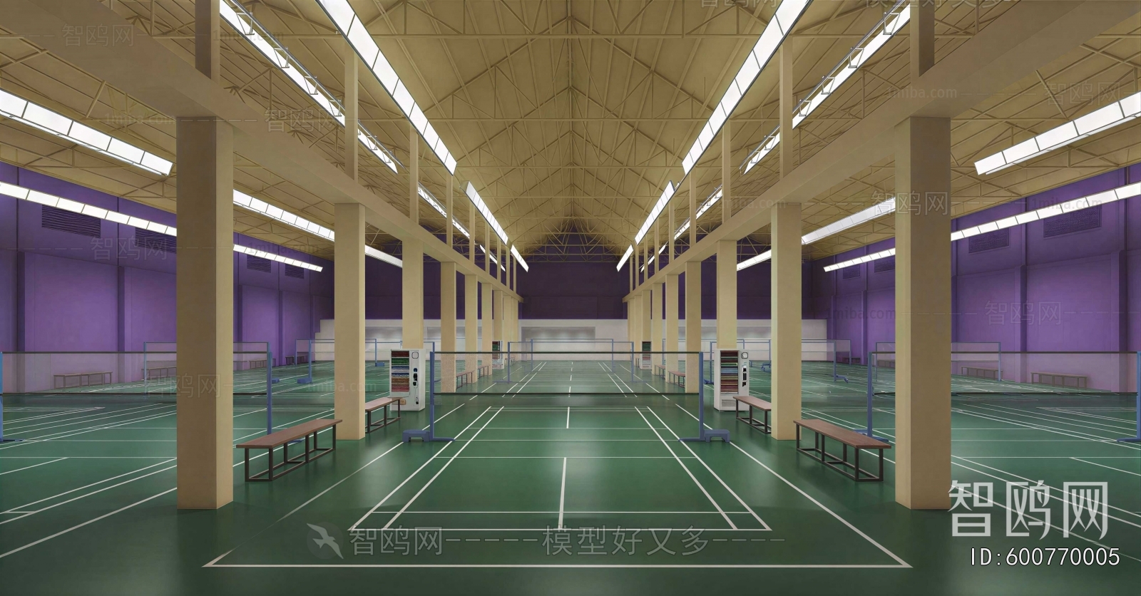 Modern Indoor Stadium