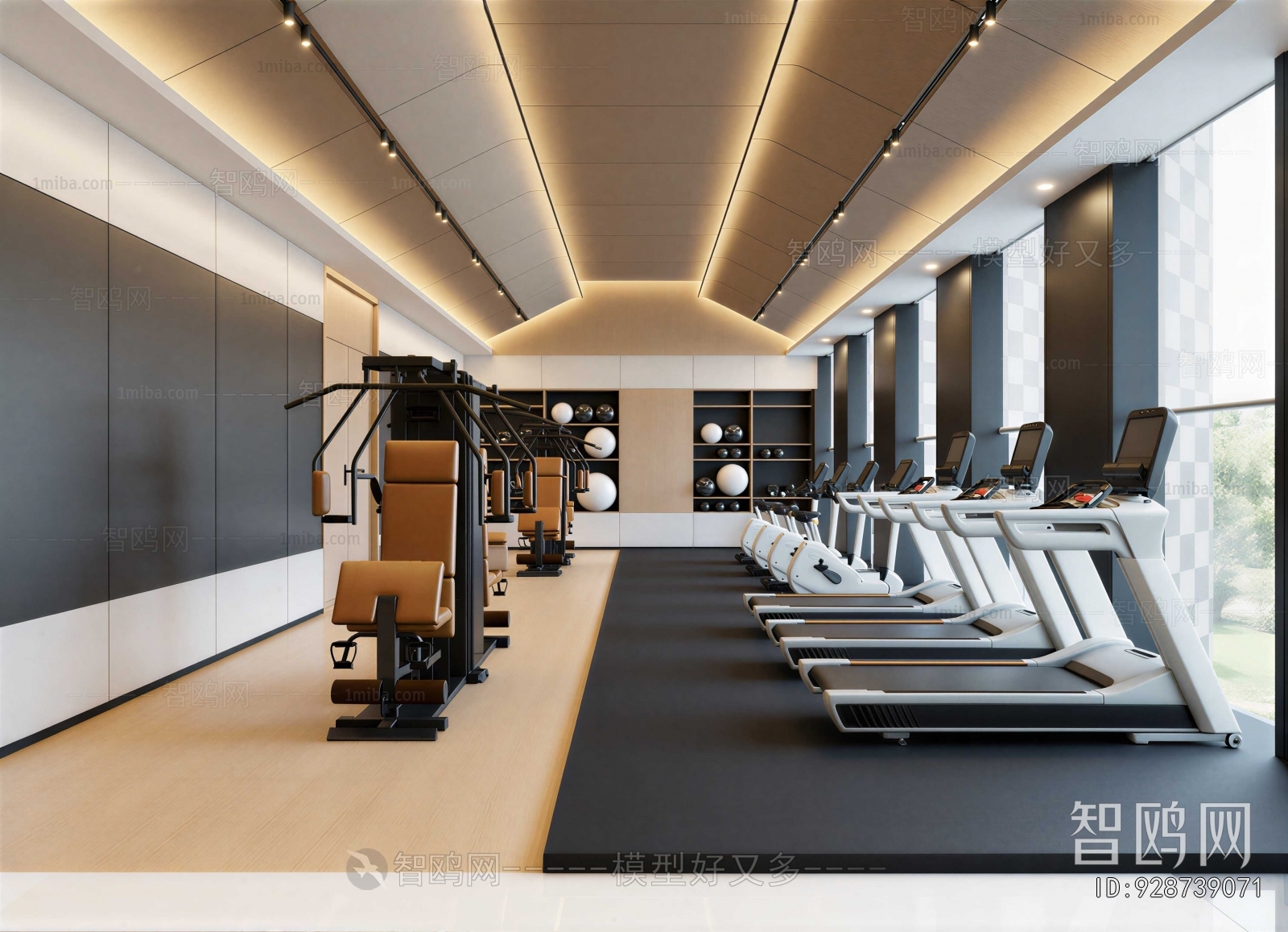 Modern Gym