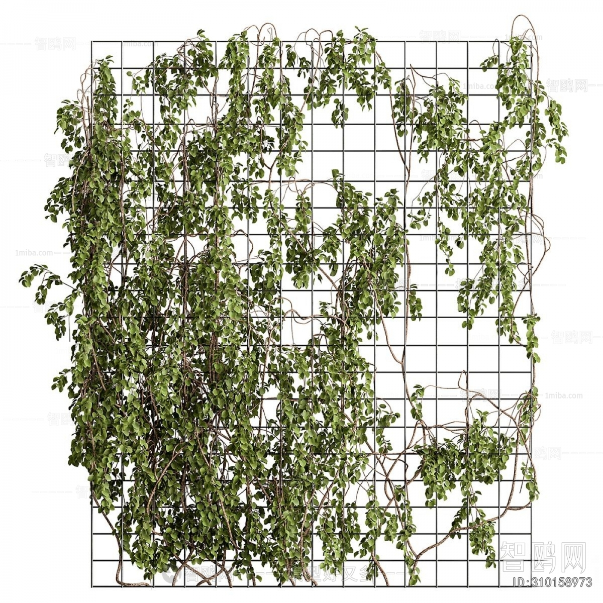 Modern Plant Wall
