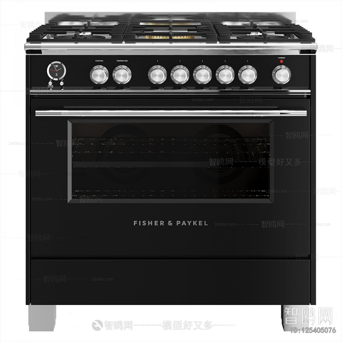 Modern Kitchen Electric Gas Range