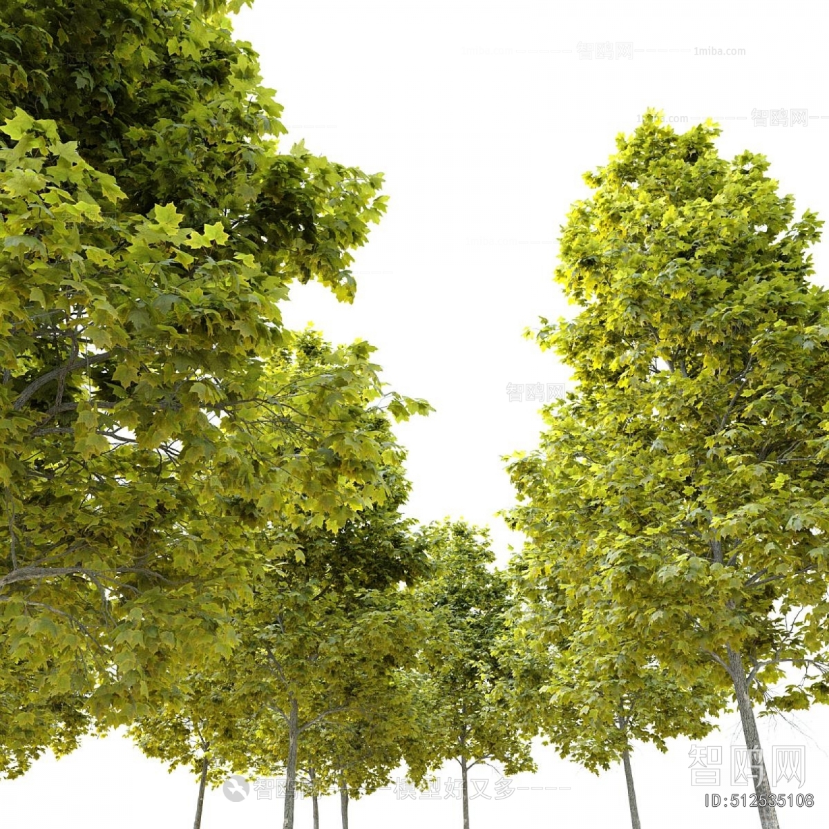 Modern Tree