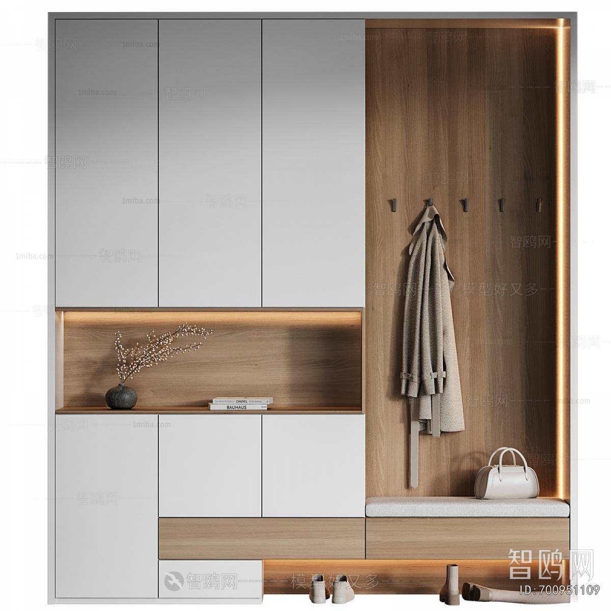 Modern Shoe Cabinet