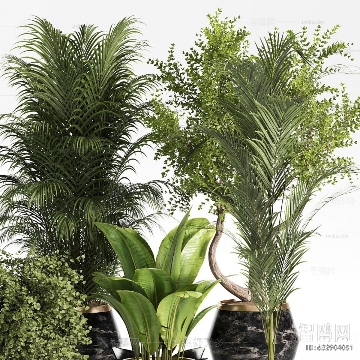 Modern Ground Green Plant Potted Plants
