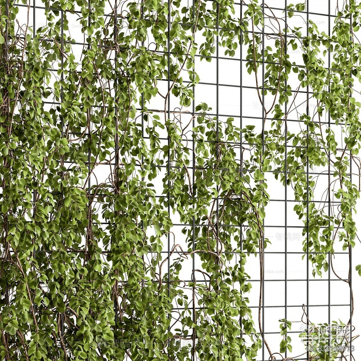 Modern Plant Wall