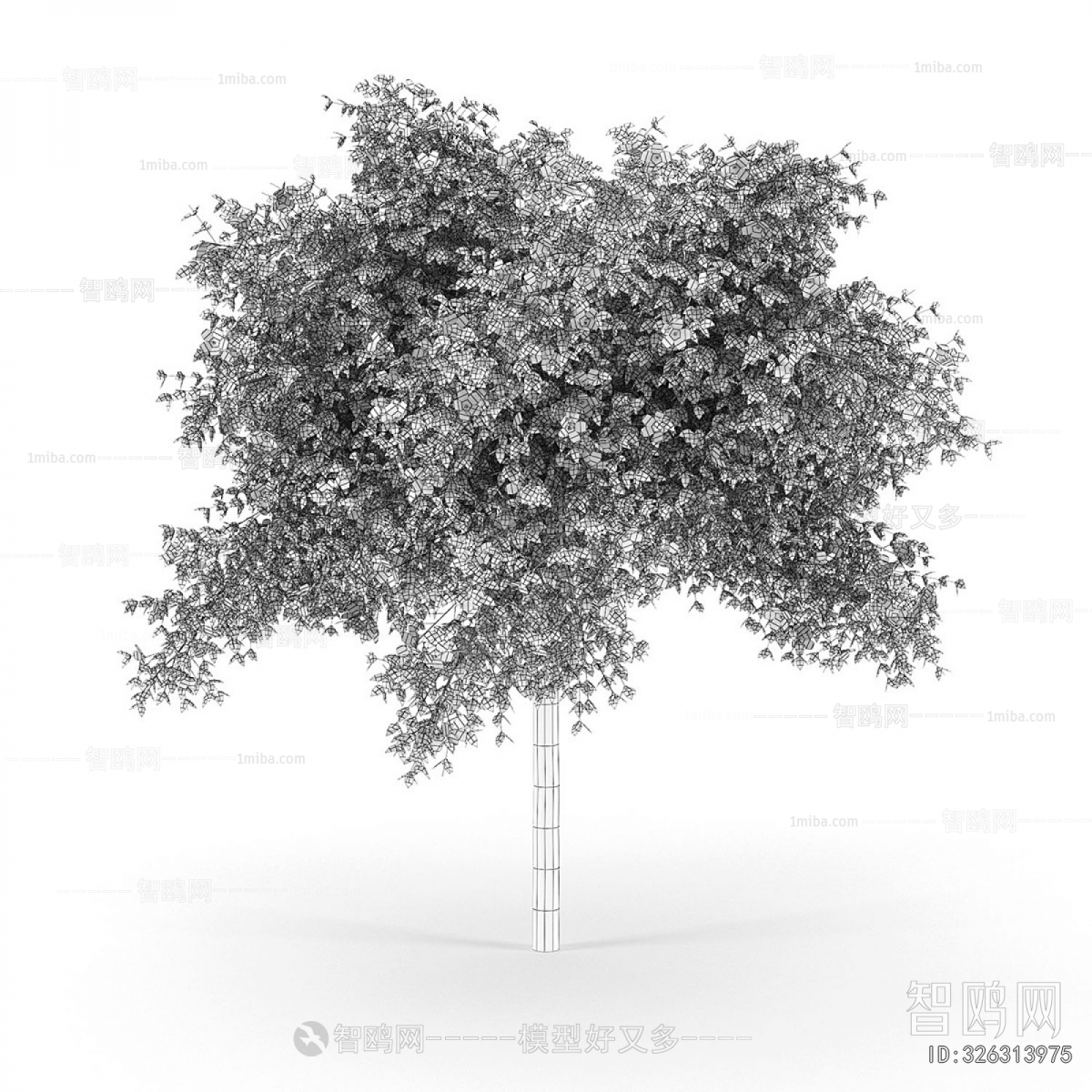 Modern Tree