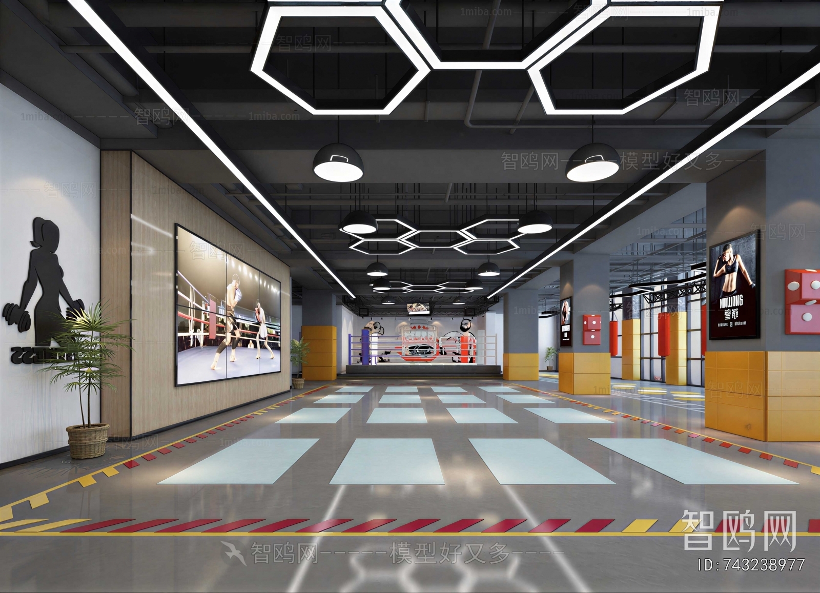 Modern Gym
