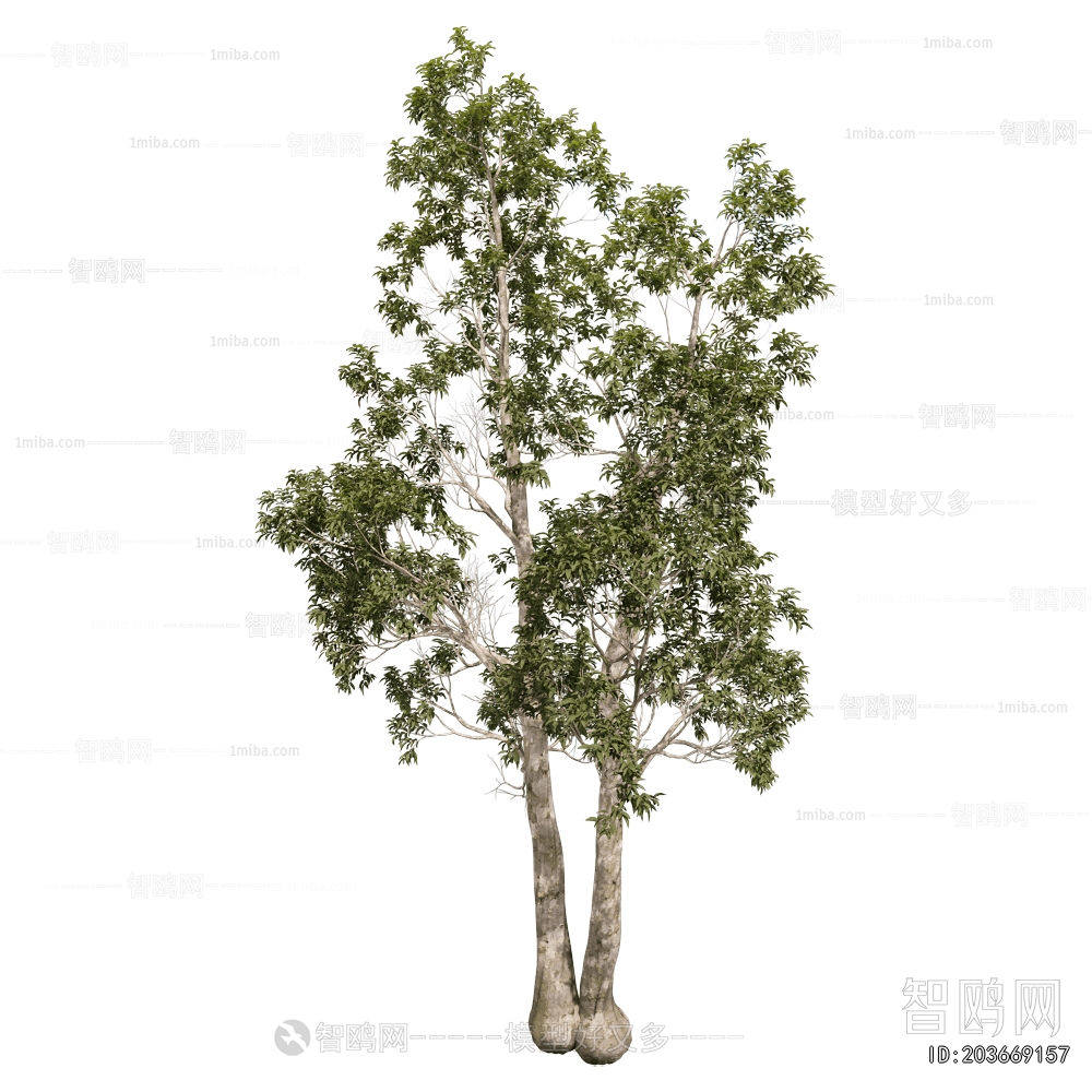 Modern Tree