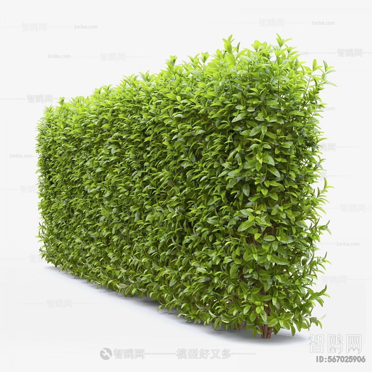 Modern Shrubbery