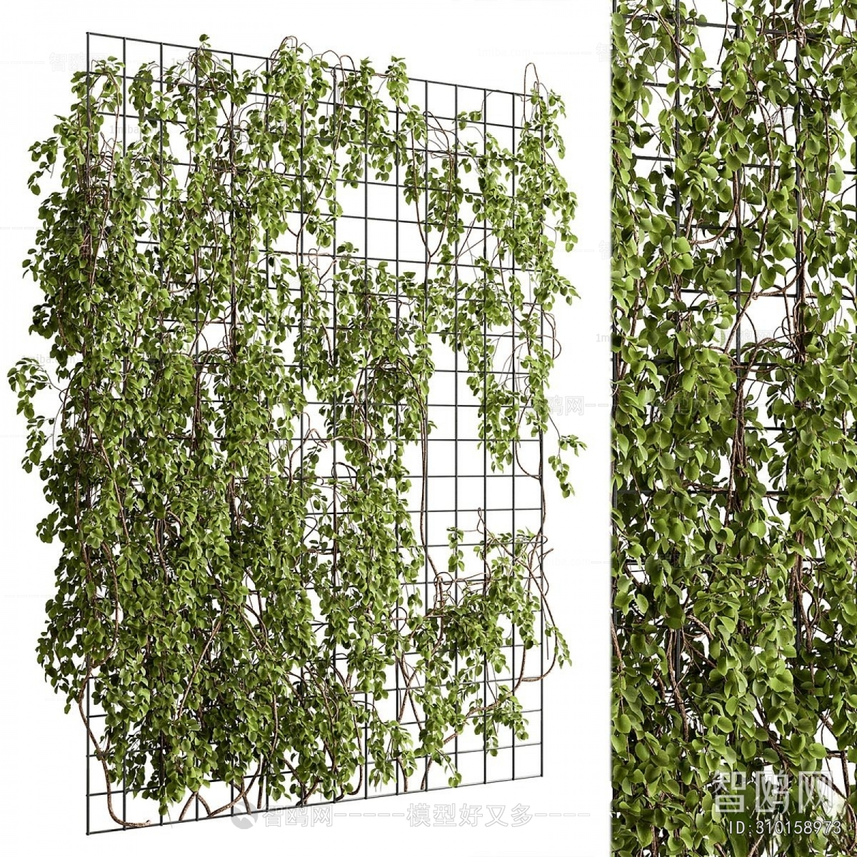 Modern Plant Wall