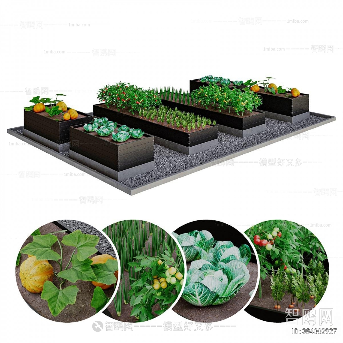 Modern Crop