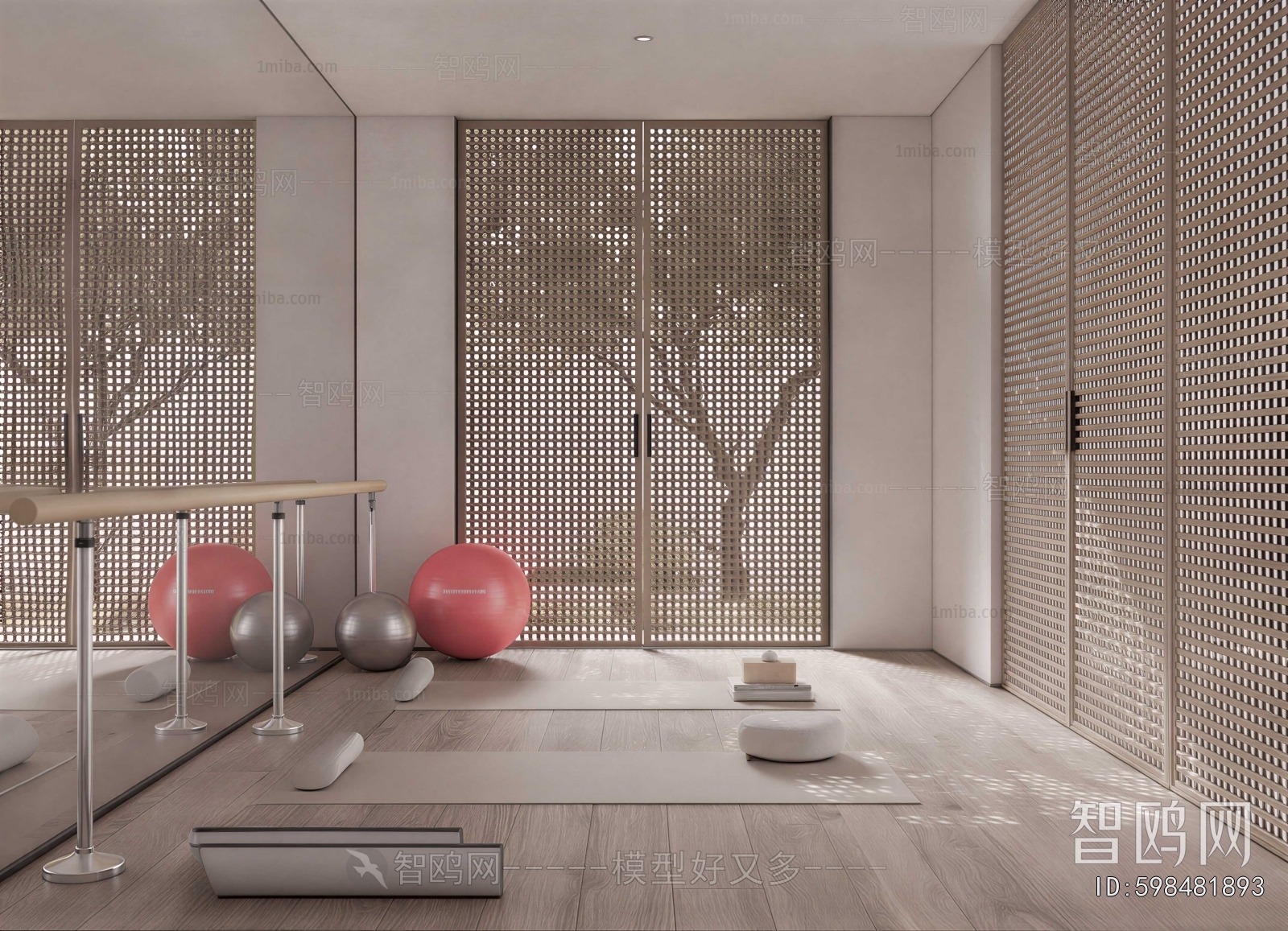 Modern Home Fitness Room