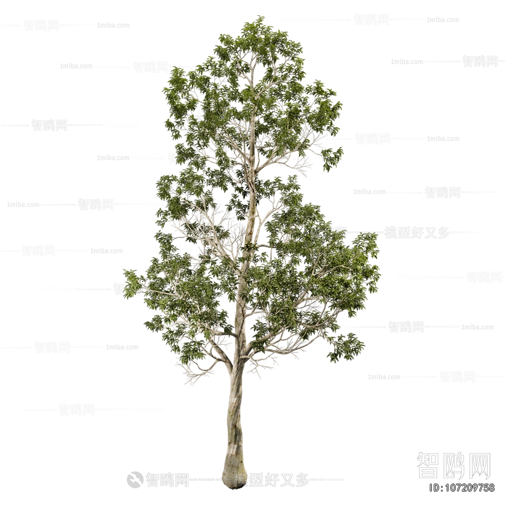 Modern Tree