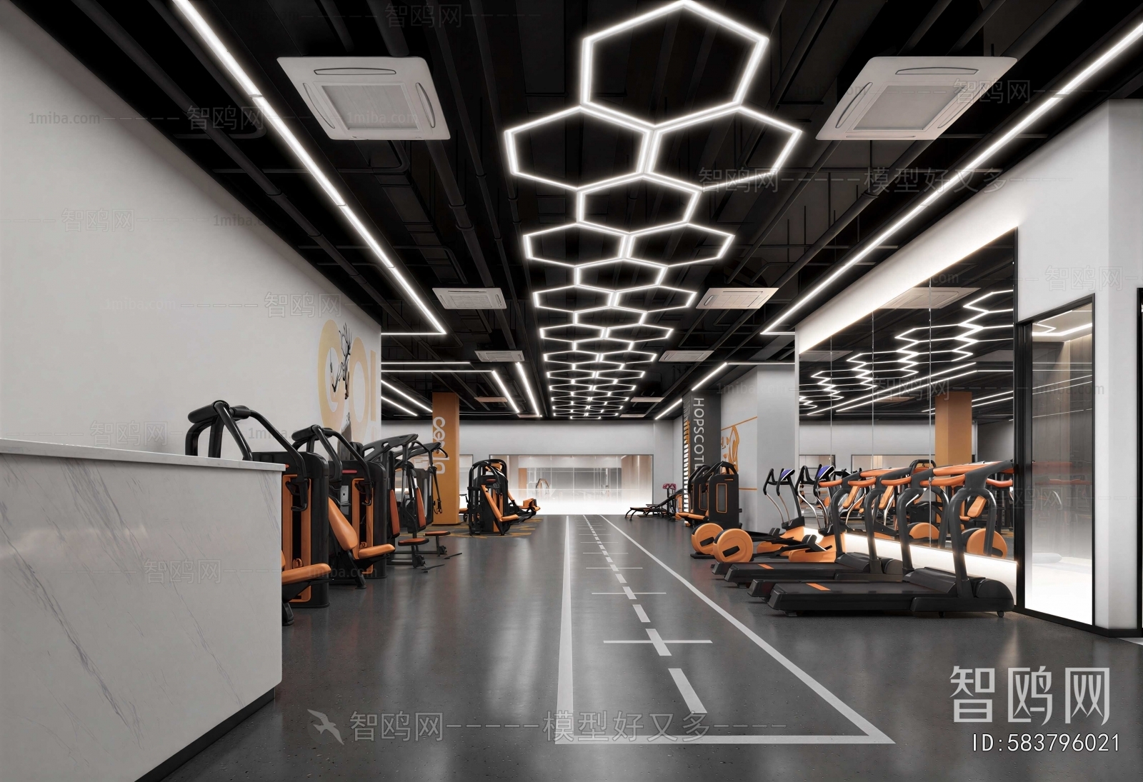 Modern Gym