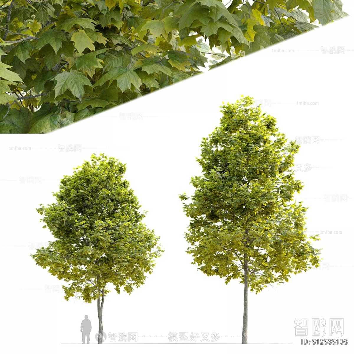 Modern Tree
