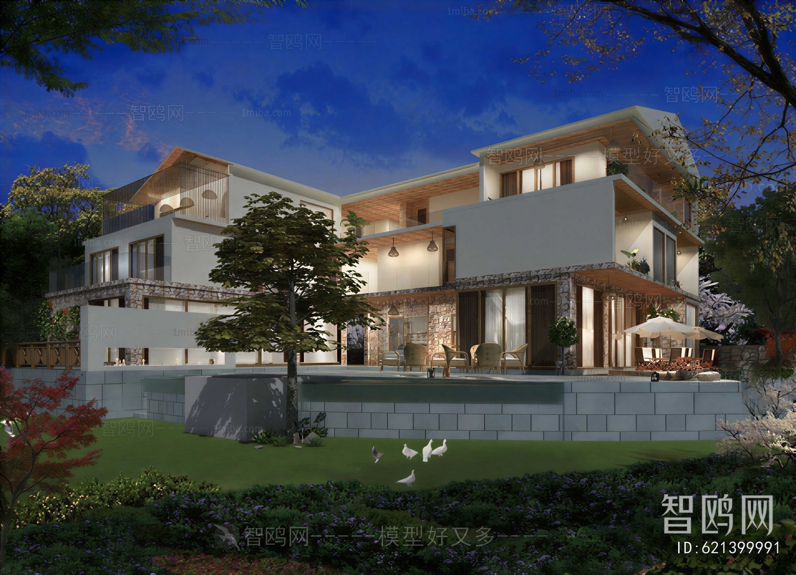Modern Villa Appearance