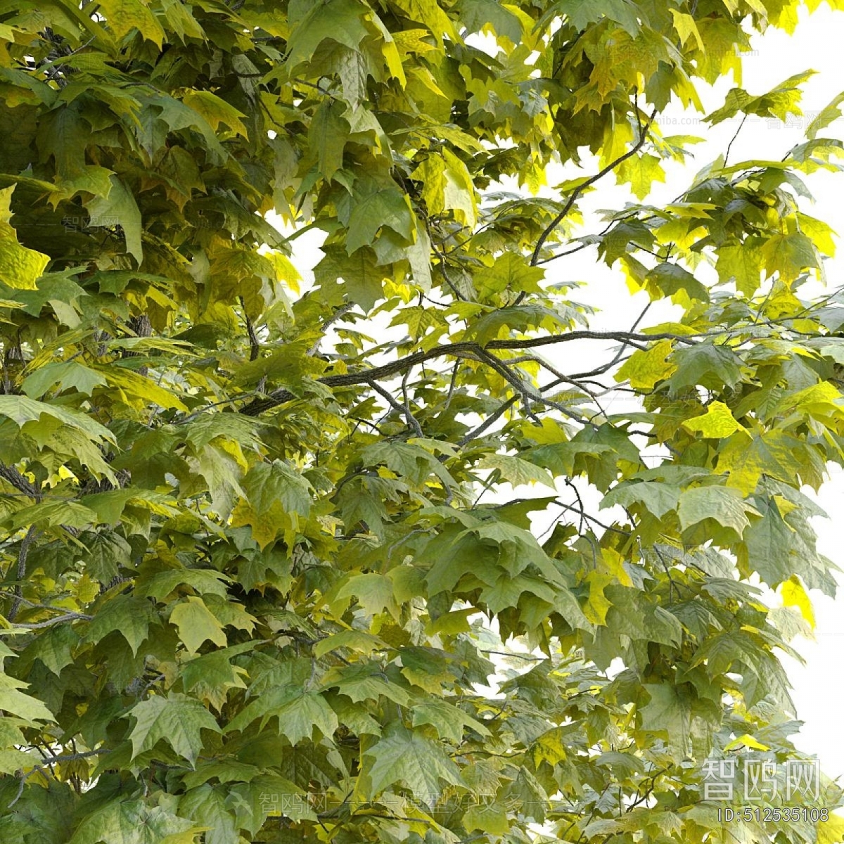 Modern Tree