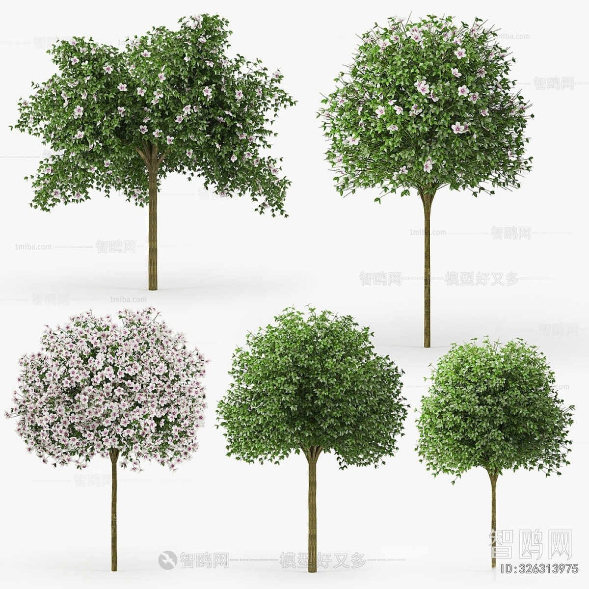 Modern Tree