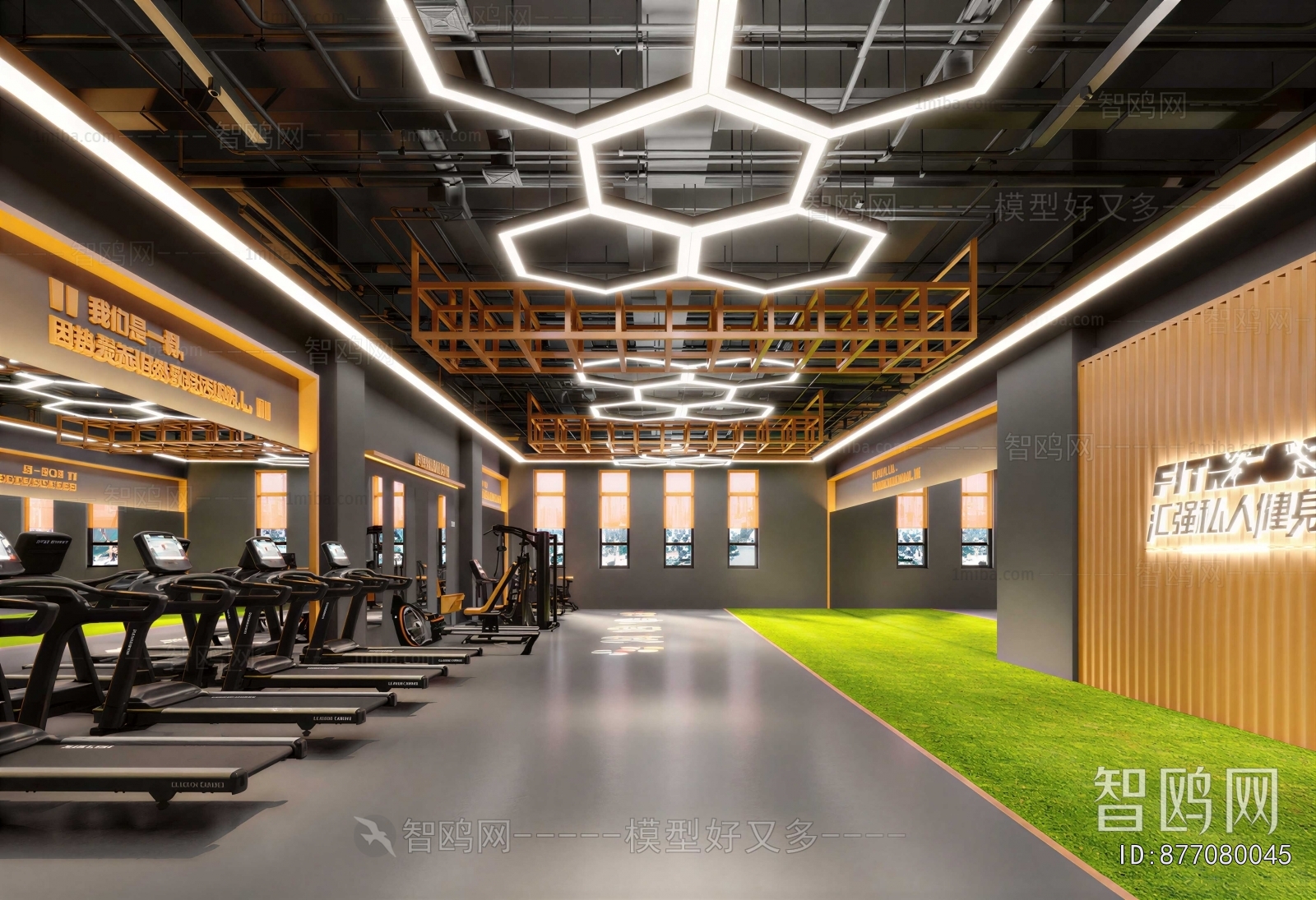Modern Gym