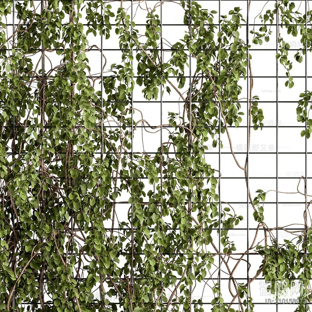 Modern Plant Wall
