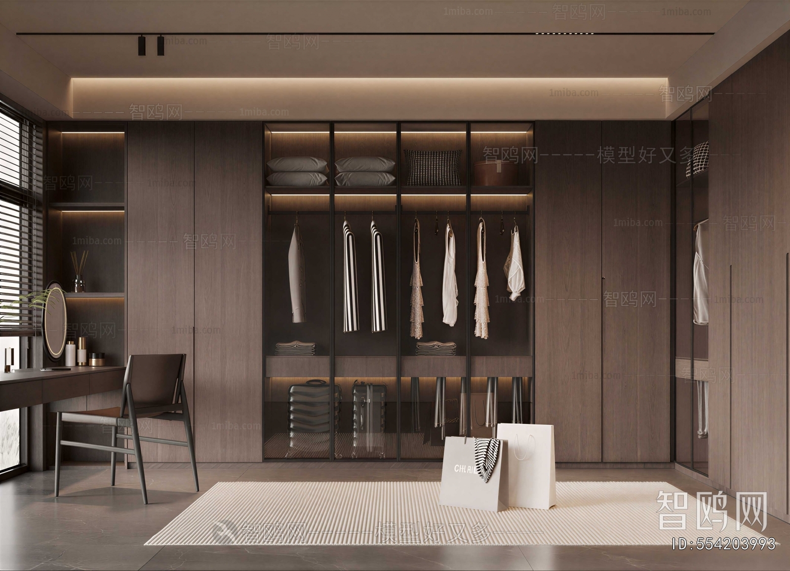 Modern Clothes Storage Area
