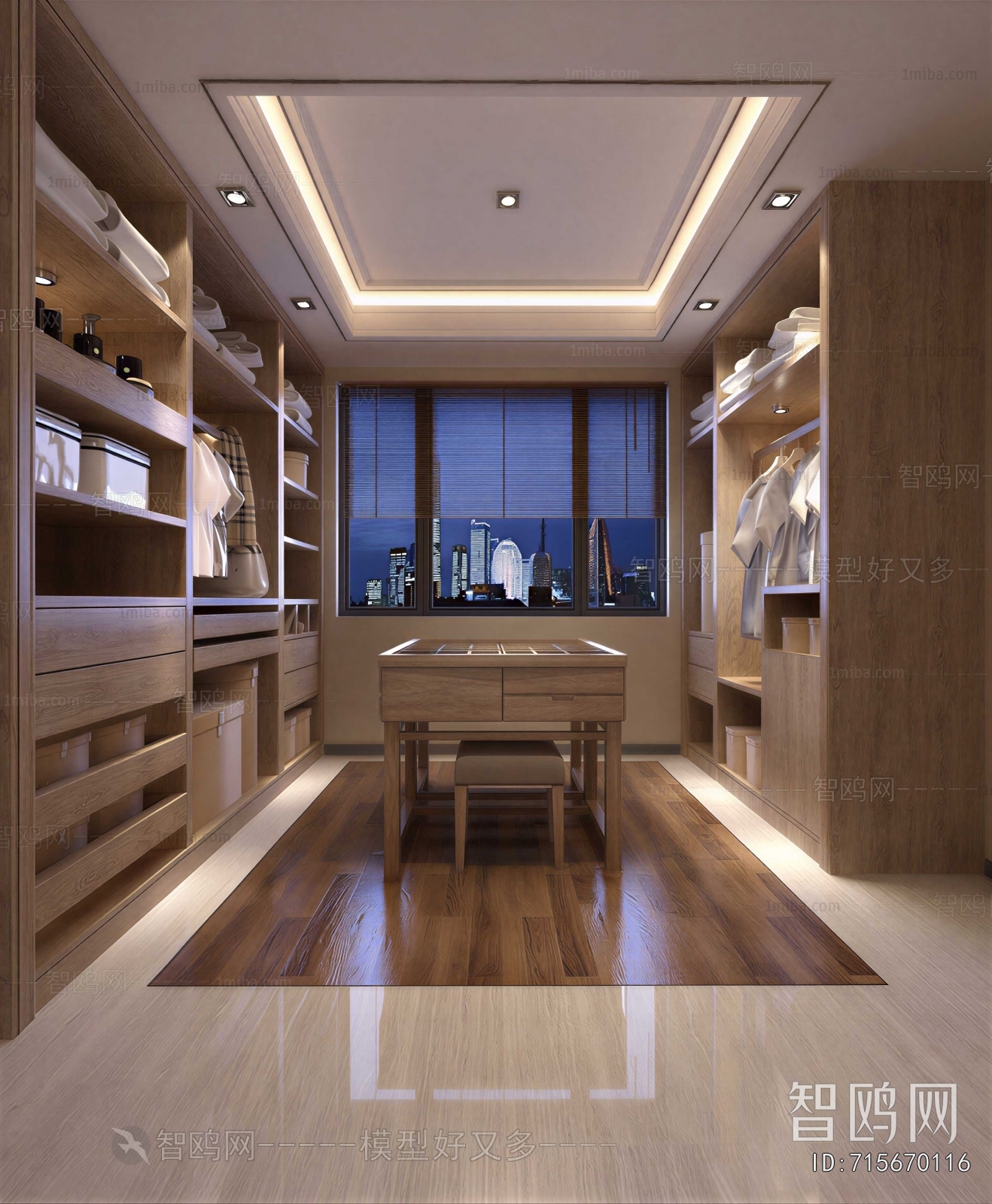 Modern Clothes Storage Area