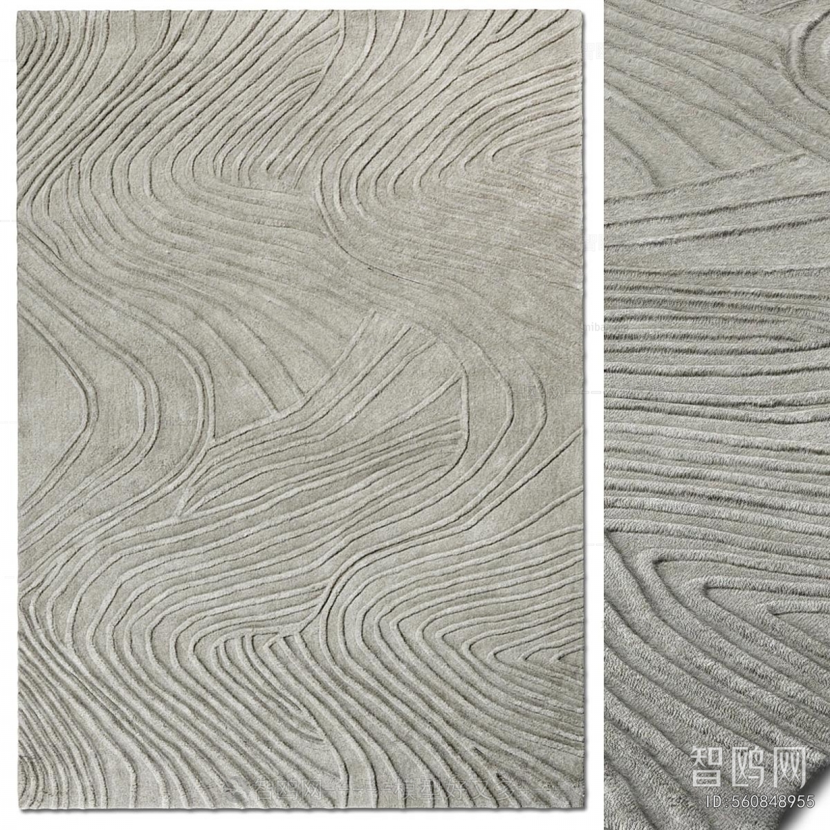 Modern The Carpet
