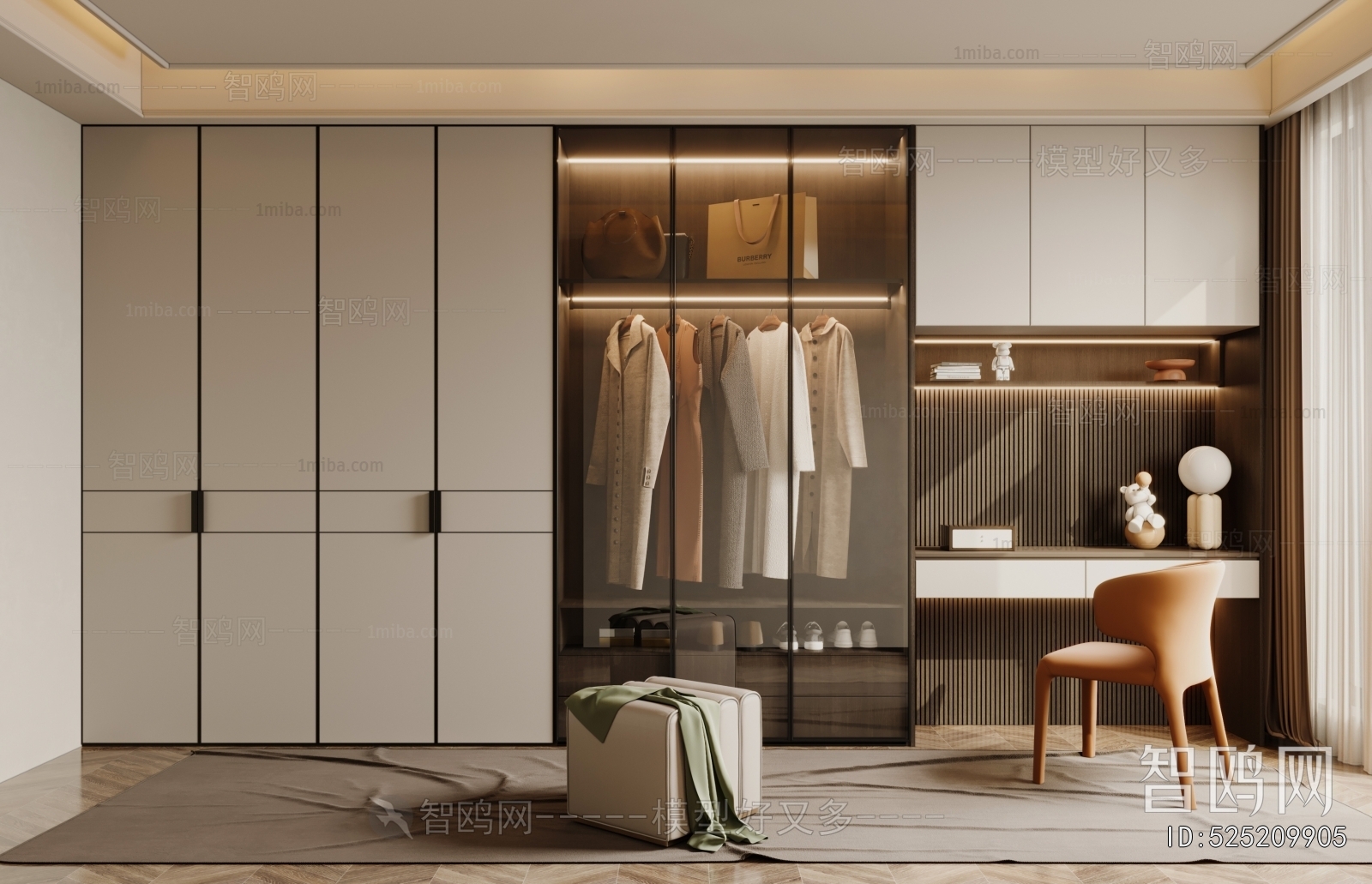 Modern Clothes Storage Area