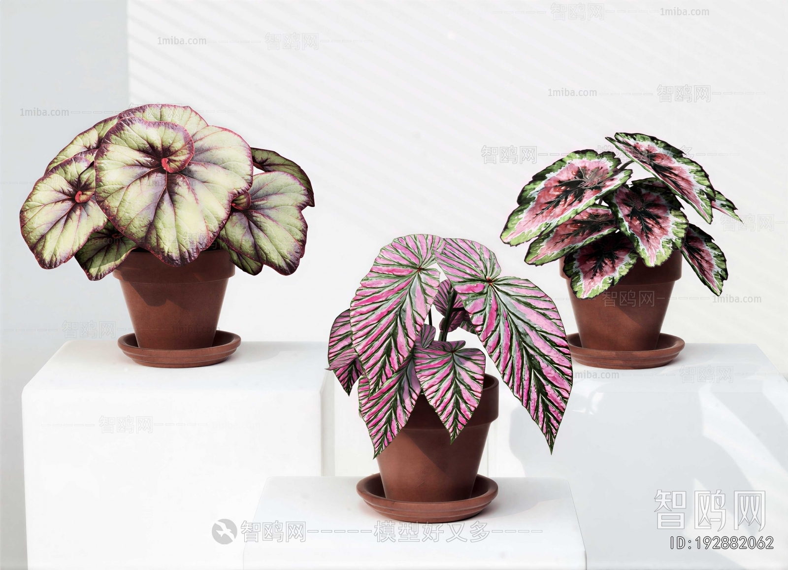 Modern Potted Green Plant