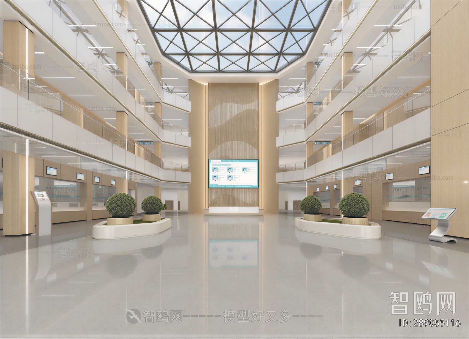 Modern Hospital Hall