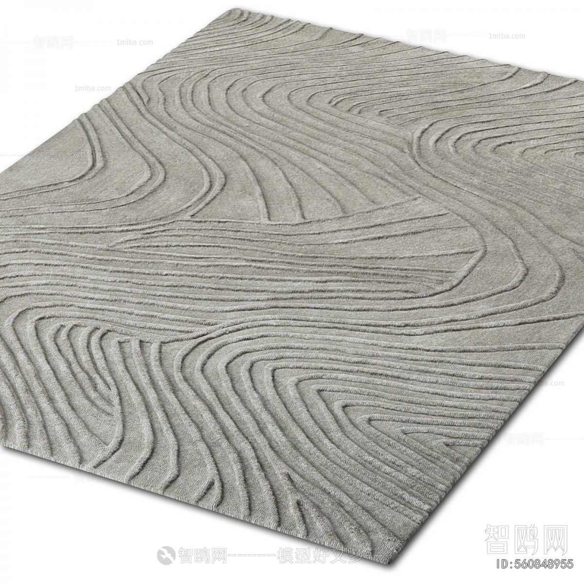 Modern The Carpet