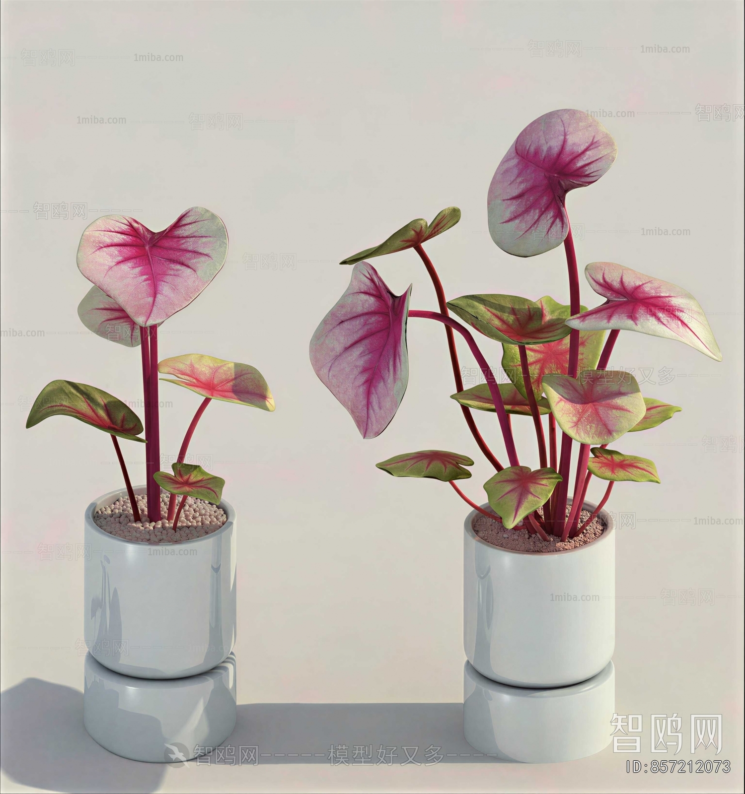 Modern Potted Green Plant