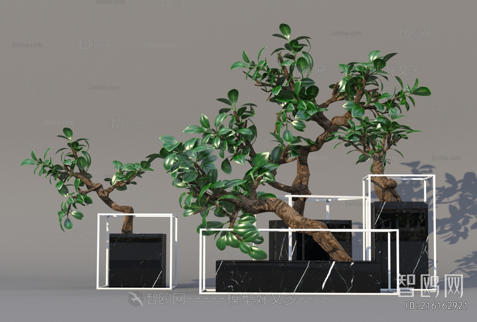 Modern Ground Green Plant Potted Plants