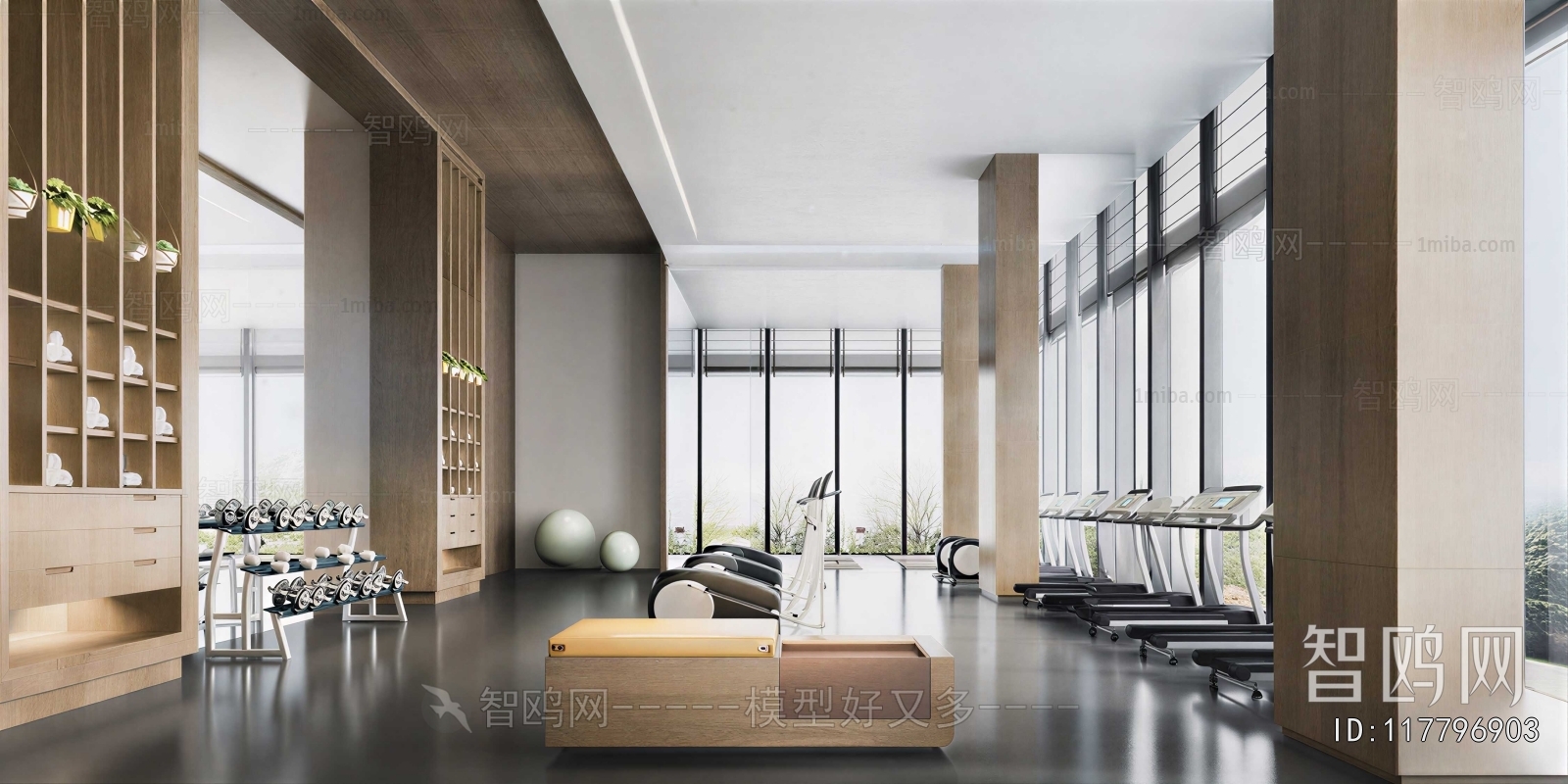 Modern Gym