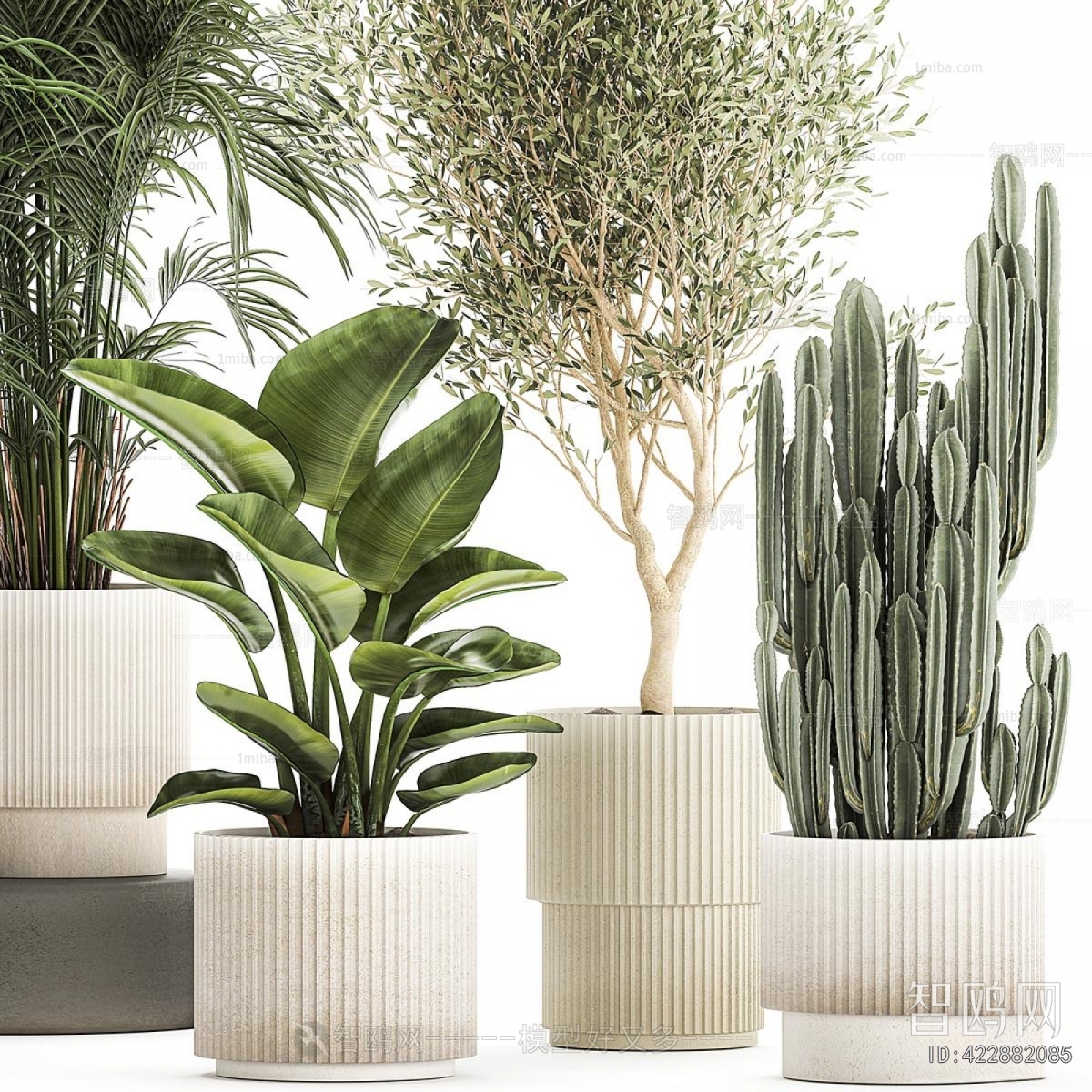 Modern Ground Green Plant Potted Plants