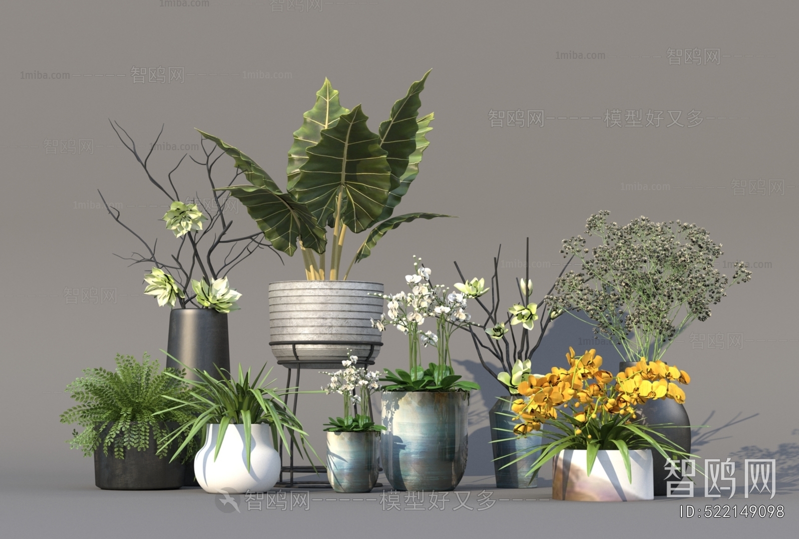 Modern Ground Green Plant Potted Plants