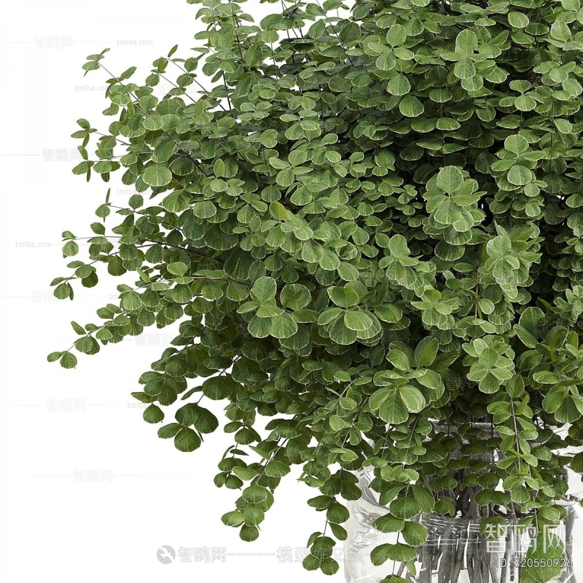 Modern Flower Arrangement