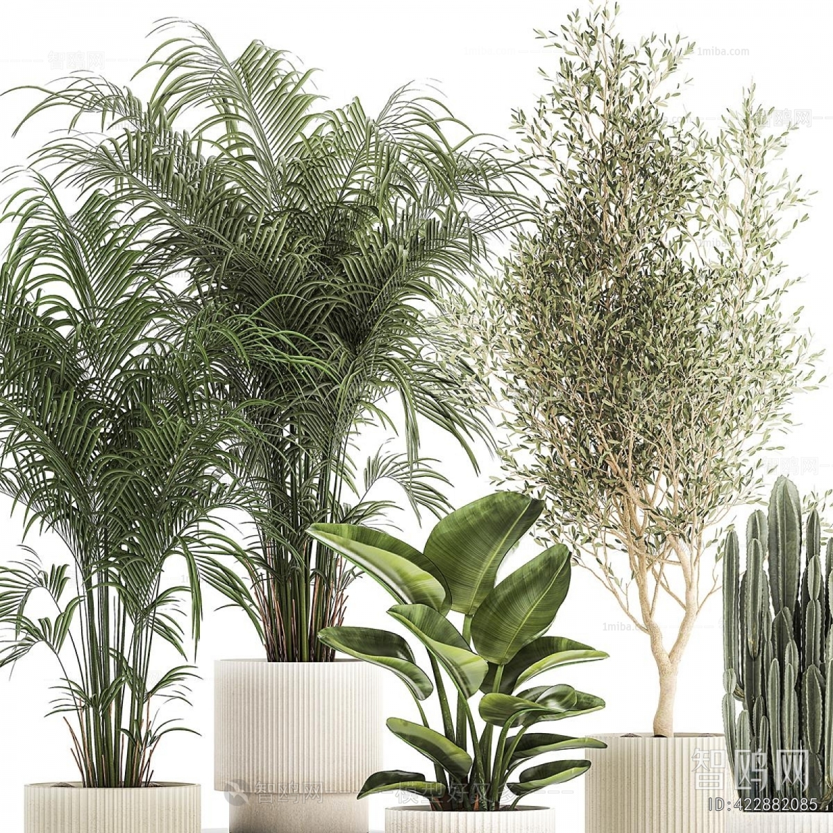 Modern Ground Green Plant Potted Plants