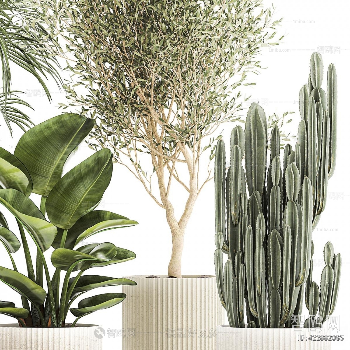 Modern Ground Green Plant Potted Plants