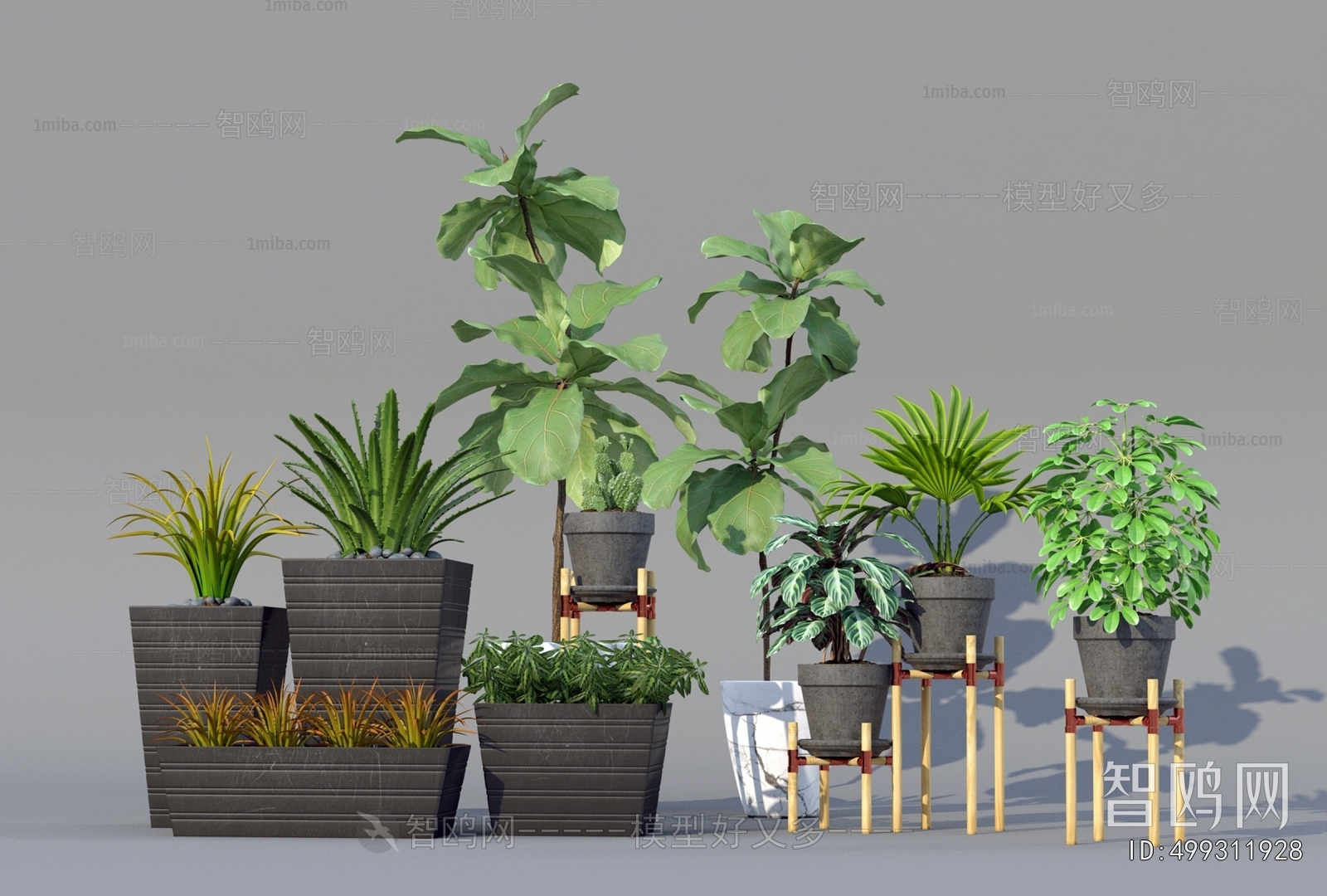 Modern Ground Green Plant Potted Plants
