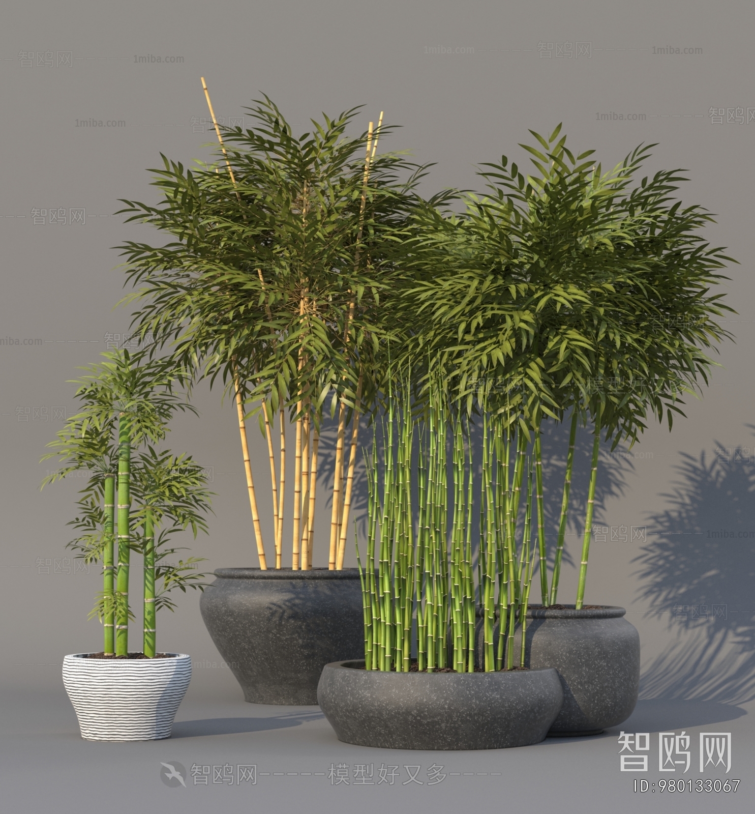 Modern Ground Green Plant Potted Plants
