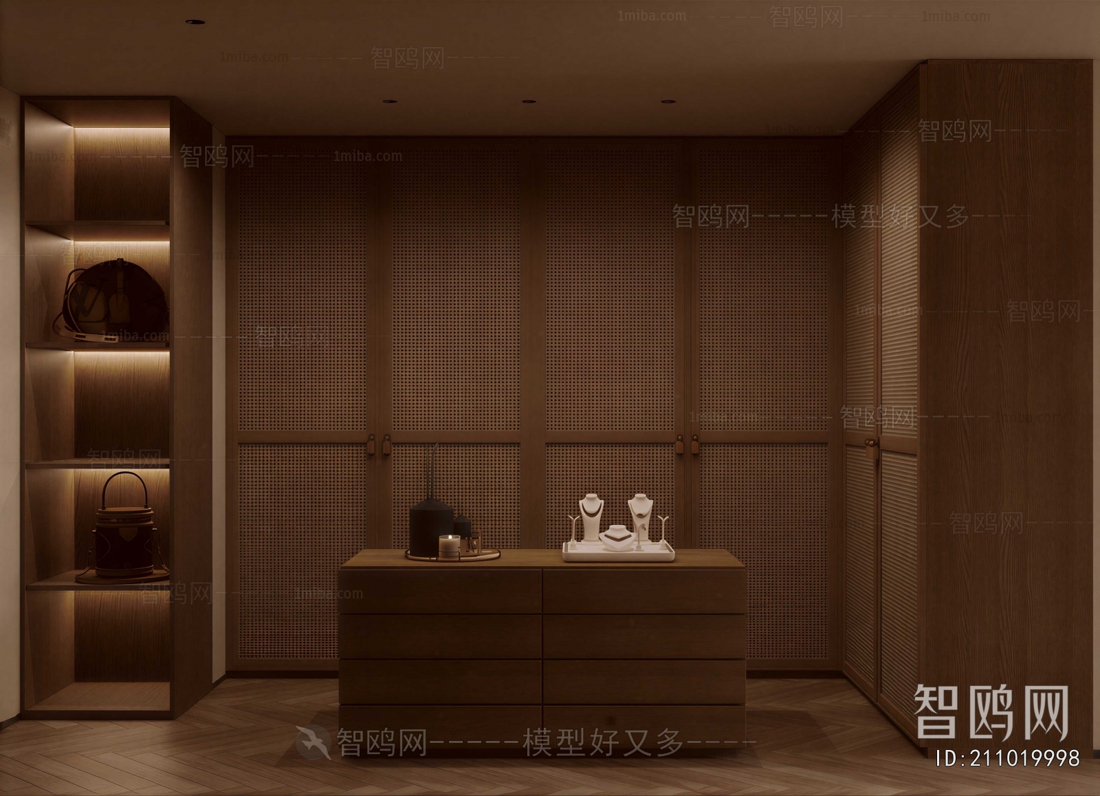 Modern Clothes Storage Area